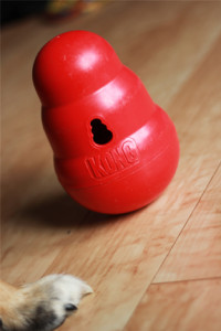 Product Review - Kong Wobbler
